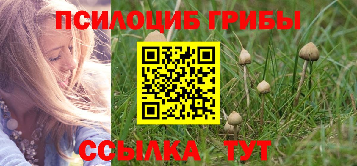 Псилоцибиновые грибы GOLDEN TEACHER  Вятские Поляны 