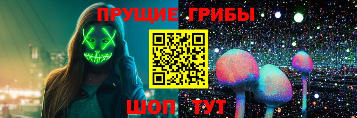 Псилоцибиновые грибы мухоморы  Вход с VPN  Вятские Поляны 